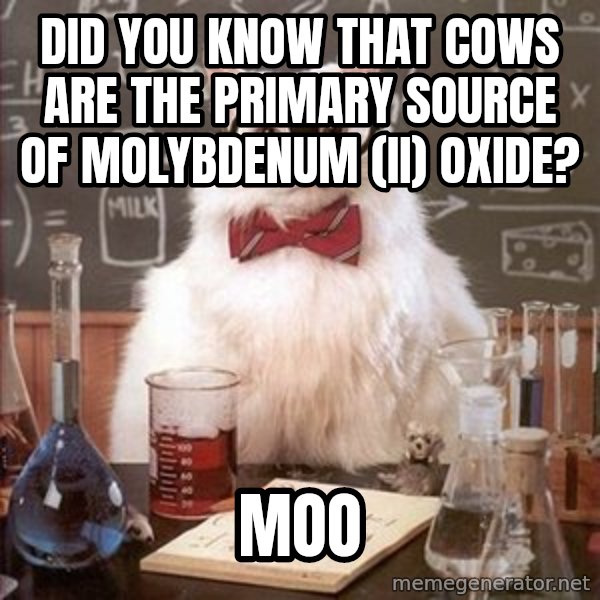 Chemistry Cat meme: Did you know that cows are the primary source of Molybdenum (II) Oxide? / Moo
