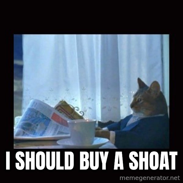i should buy a boat cat meme: I should buy a shoat