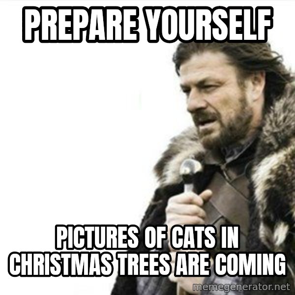 Prepare yourself meme: Prepare Yourself / Pictures of cats in christmas trees are coming