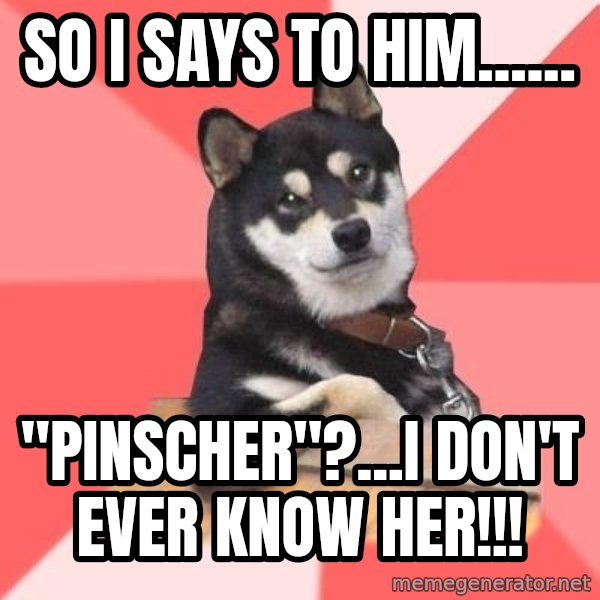 Cool Dog meme: so i says to him...... / "pinscher"?...i don't ever know her!!!