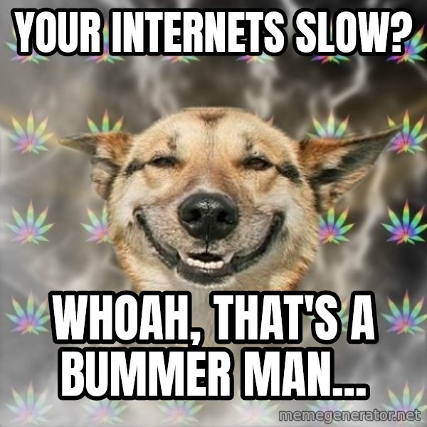 Stoner Dog meme: yOUR INTERNETS SLOW? / WHOAH, THAT'S A BUMMER MAN...