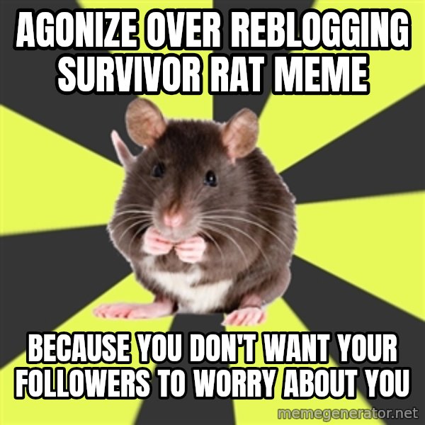 Survivor Rat meme: agonize over reblogging survivor rat meme / because you don't want your followers to worry about you
