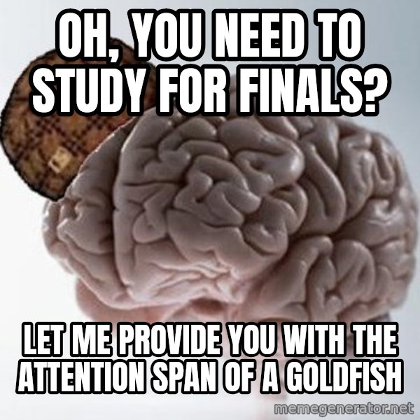 Scumbag Brain meme: Oh, you need to study for finals? / Let me provide you with the attention span of a goldfish