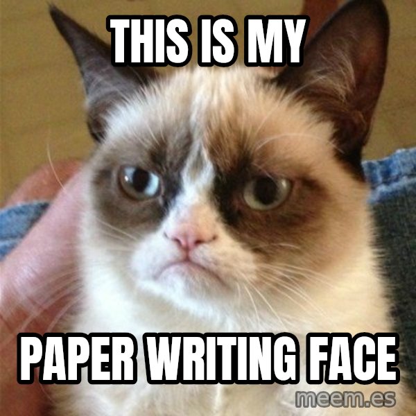 Grumpy Cat  meme: This is my / paper writing face
