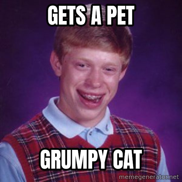 Bad Luck Brian meme: gets a pet / grumpy cat