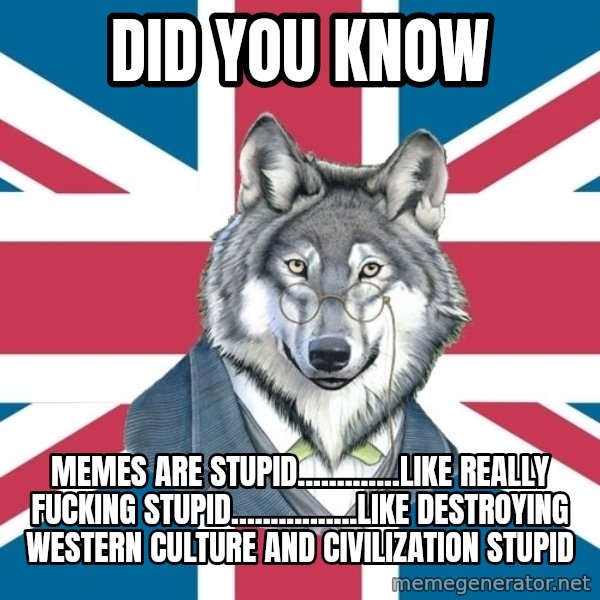 Sir Courage Wolf Esquire meme: did you know / memes are stupid.............like really fucking stupid................like destroying western culture and civilization stupid
