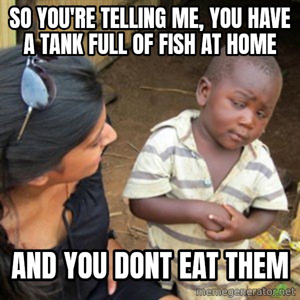 Skeptical 3rd World Kid meme: so you're telling me, you have a tank full of fish at home / and you dont eat them