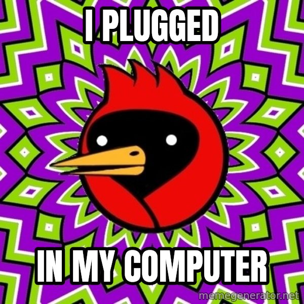 Omsk Crow meme: I Plugged / In My computer