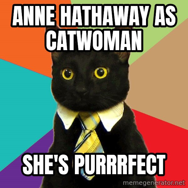 Business Cat meme: anne hathaway as catwoman / she's purrrfect