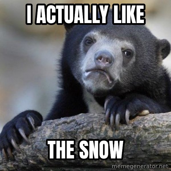 Confession Bear meme: I ACTUALLY LIKE / THE SNOW