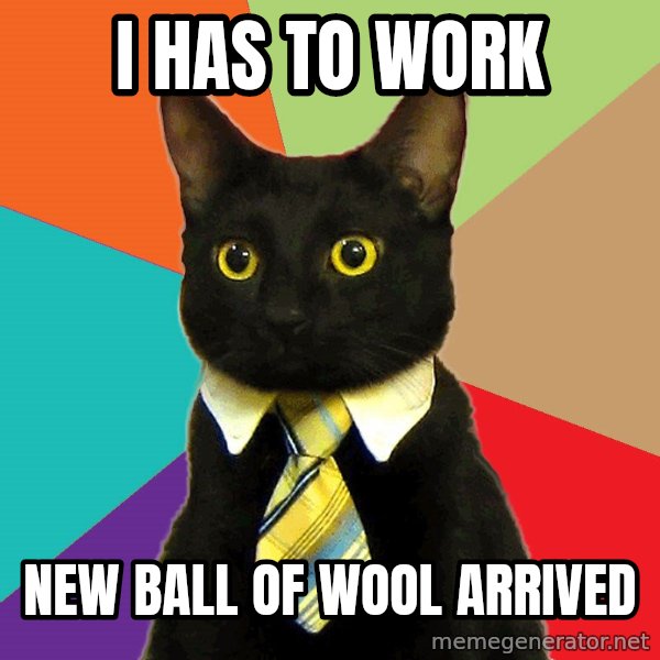 Business Cat meme: I HAS TO WORK / NEW BALL OF WOOL ARRIVED