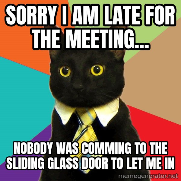 Business Cat meme: sorry I am late for the meeting... / nobody was comming to the sliding glass door to let me in
