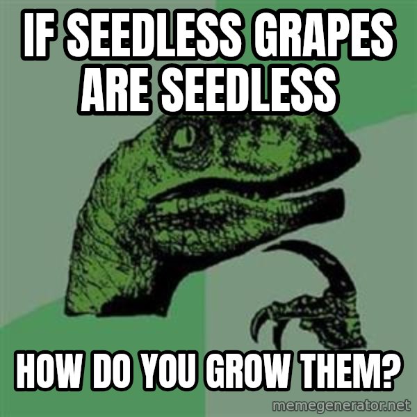 Philosoraptor meme: if Seedless grapes are seedless / How do you grow them?