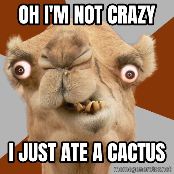 Crazy Camel lol meme: OH I'M NOT CRAZY / I JUST ATE A CACTUS