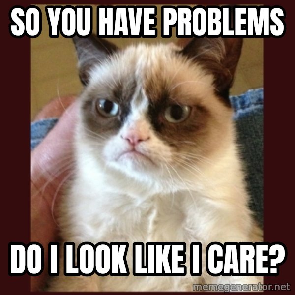 Grumpy Cat  meme: so you have problems / do i look like i care?
