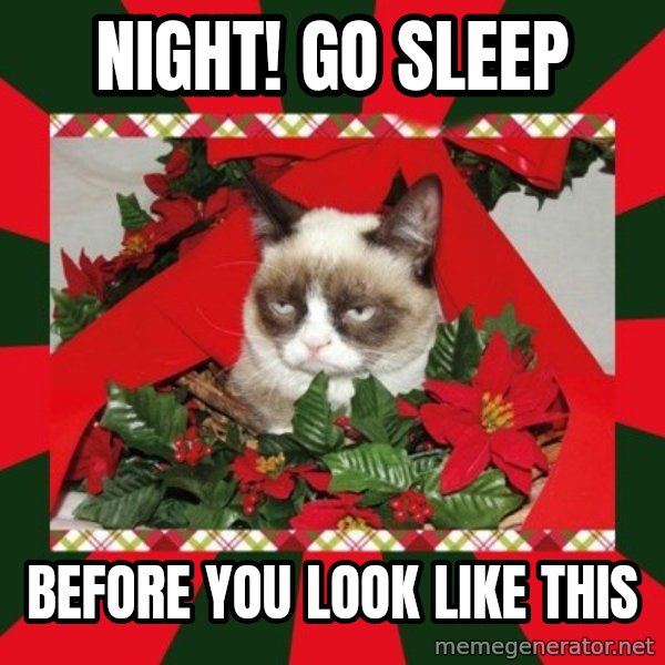 GRUMPY CAT ON CHRISTMAS meme: night! go sleep / before you look like this