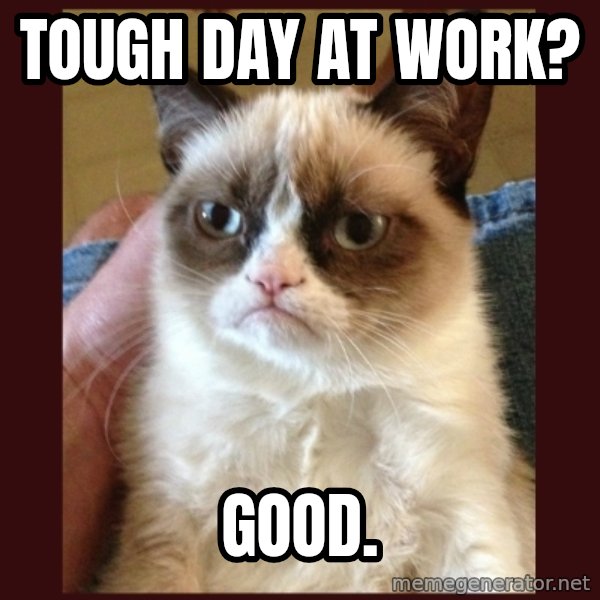 Grumpy Cat  meme: Tough day at work? / good.