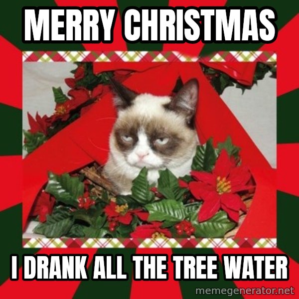 GRUMPY CAT ON CHRISTMAS meme: MERRY CHRISTMAS / I DRANK ALL THE TREE WATER