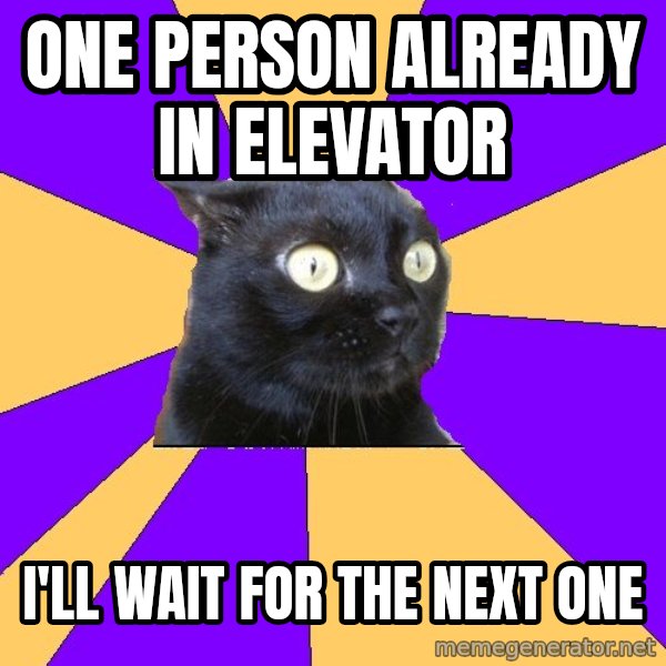 Anxiety Cat meme: One person already in elevator / I'll wait for the next one