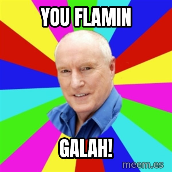 Alf Stewart meme: YOU FLAMIN / GALAH!
