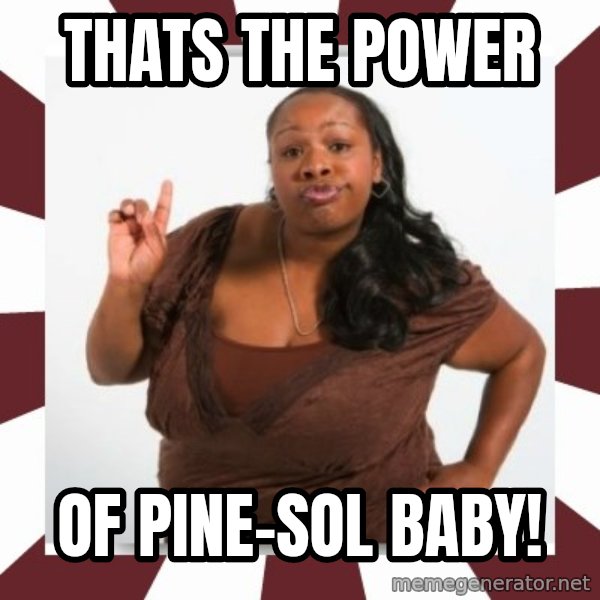 Sassy Black Woman meme: thats the power / of pine-sol baby!