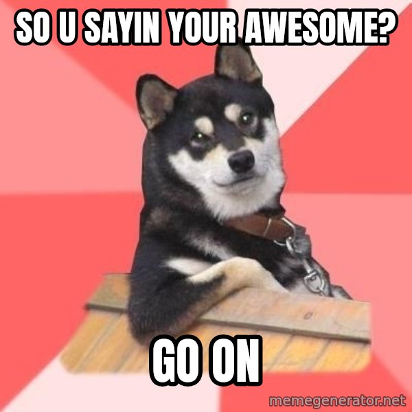 Cool Dog meme: so u sayin your awesome? / go on