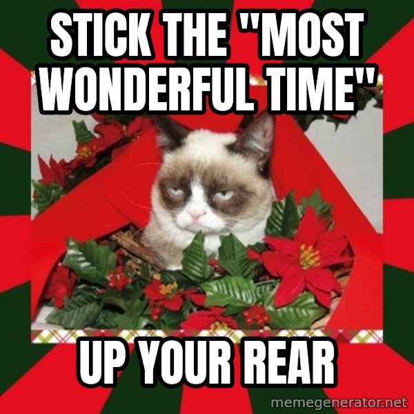GRUMPY CAT ON CHRISTMAS meme: Stick the "most wonderful time" / up your rear