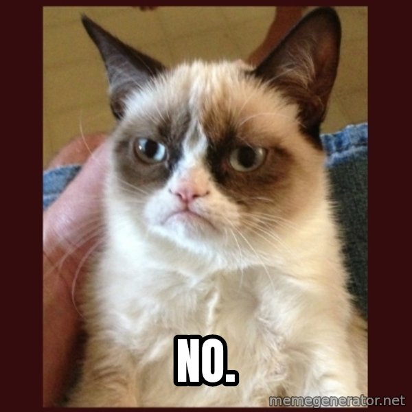Grumpy Cat  meme: NO.