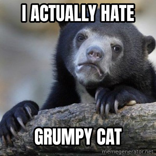 Confession Bear meme: I actually hate / grumpy cat