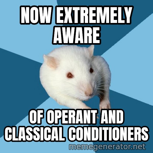 Psychology Major Rat meme: Now extremely aware / of operant and classical conditioners