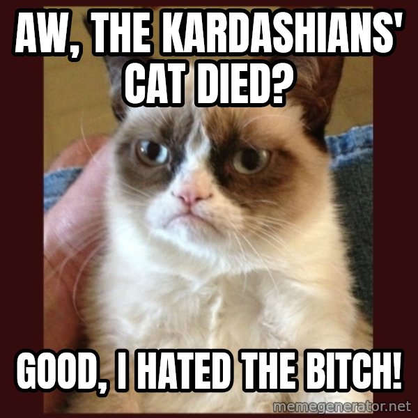 Grumpy Cat  meme: aw, the kardashians' cat died? / good, I hated the bitch!