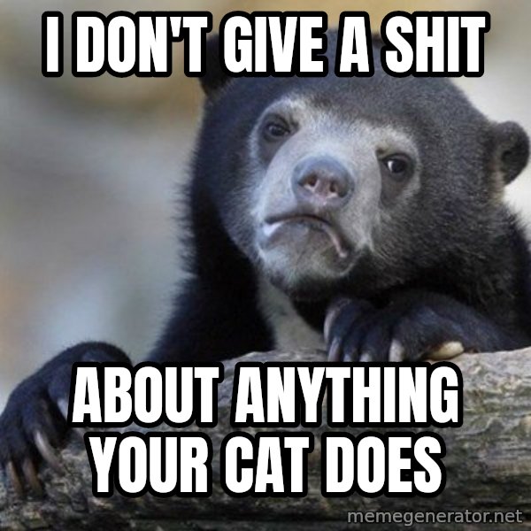 Confession Bear meme: I don't give a shit / about anything your cat does