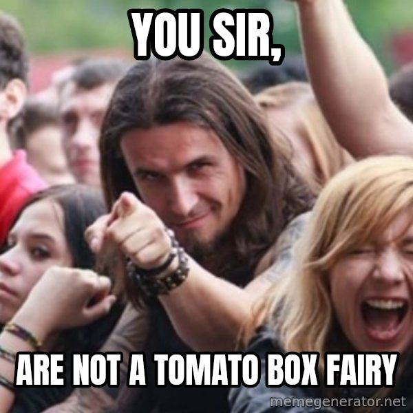 Ridiculously Photogenic Metalhead meme: YOU SIR, / ARE NOT A TOMATO BOX FAIRY