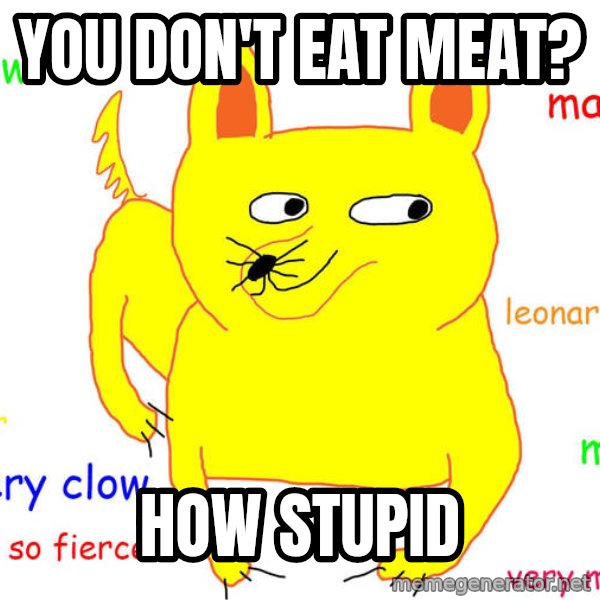 Grumpy Cat  meme: You don't eat meat? / How Stupid