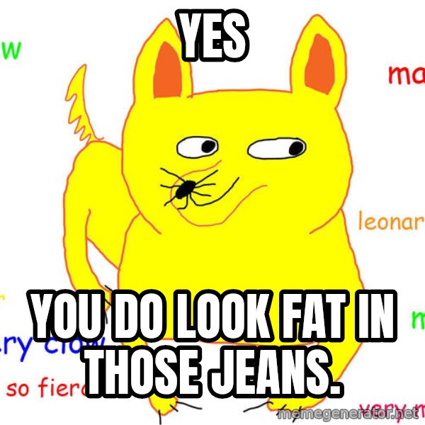 Grumpy Cat  meme: Yes / you do look fat in those jeans.