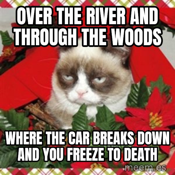 Grumpy Christmas Cat meme: over the river and through the woods / where the car breaks down and you freeze to death