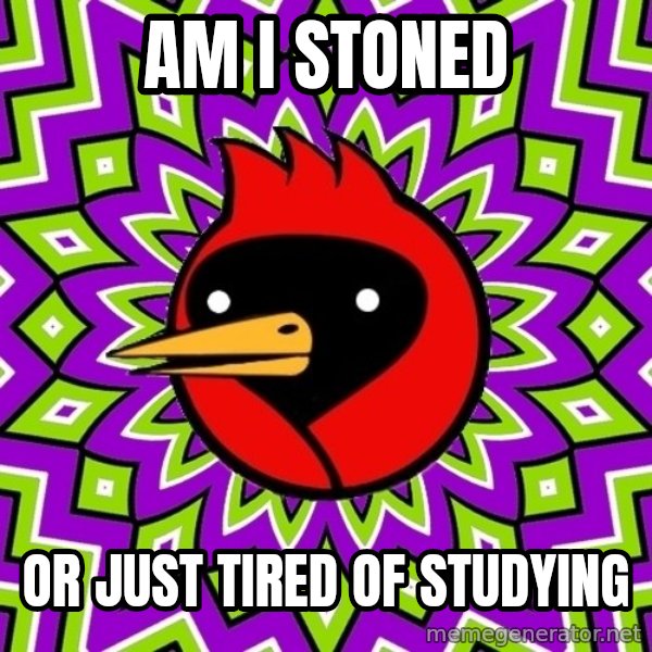 Omsk Crow meme: Am i stoned / Or just tired of studying
