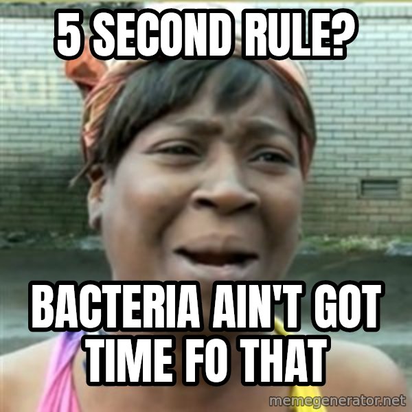 Ain't Nobody got time fo that meme: 5 second rule? / bacteria ain't got time fo that