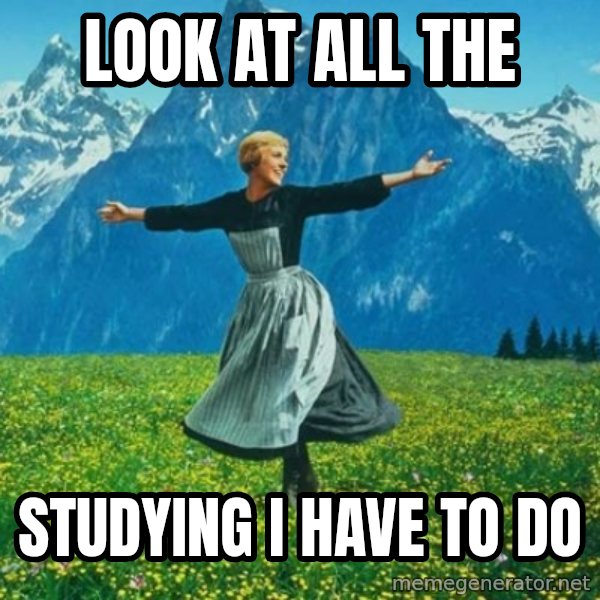 Look at All the Fucks I Give meme: Look at all the / studying i have to do