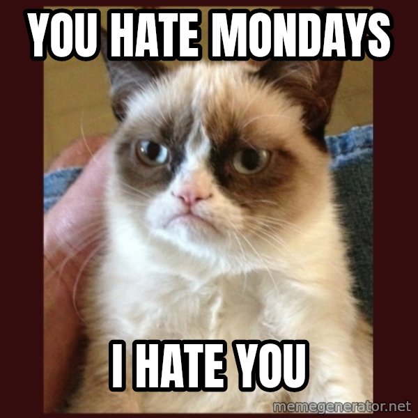 Grumpy Cat  meme: YOU HATE MONDAYS / I HATE YOU