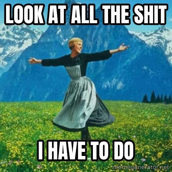 Look at All the Fucks I Give meme: Look at all the shit / i have to do