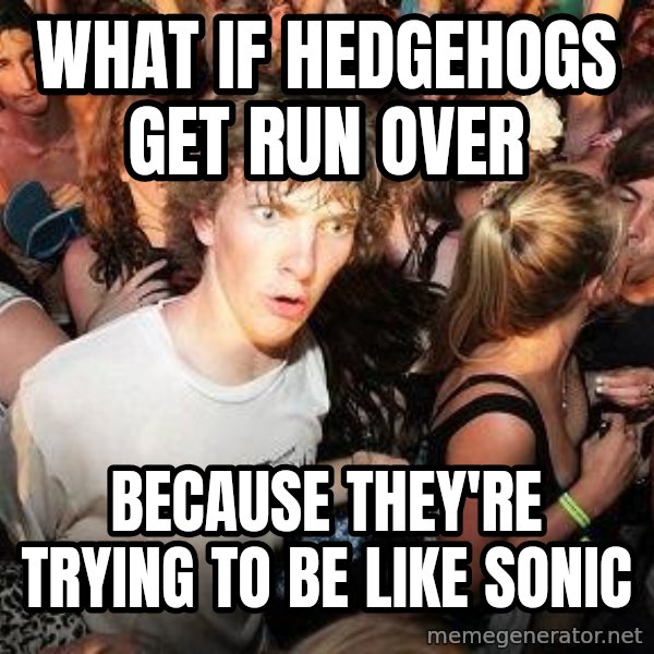 Sudden Realization Ralph meme: what if hedgehogs get run over / because they're trying to be like sonic