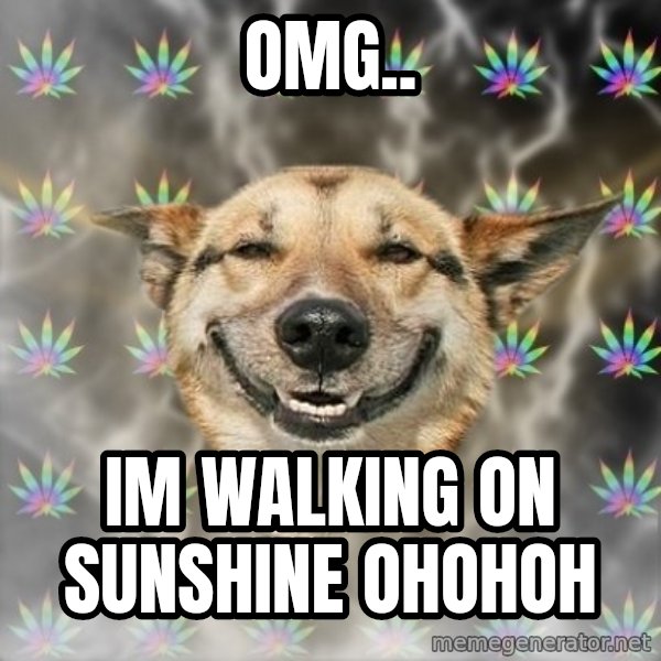 Stoner Dog meme: OMG.. / iM WALKING ON SUNSHINE OHOHOH