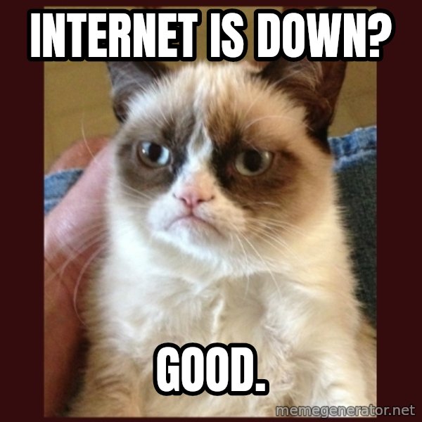 Grumpy Cat  meme: Internet is down? / Good.
