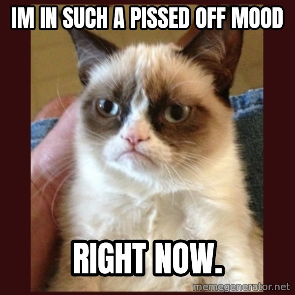 Grumpy Cat  meme: IM IN SUCH A PISSED OFF MOOD / right now.