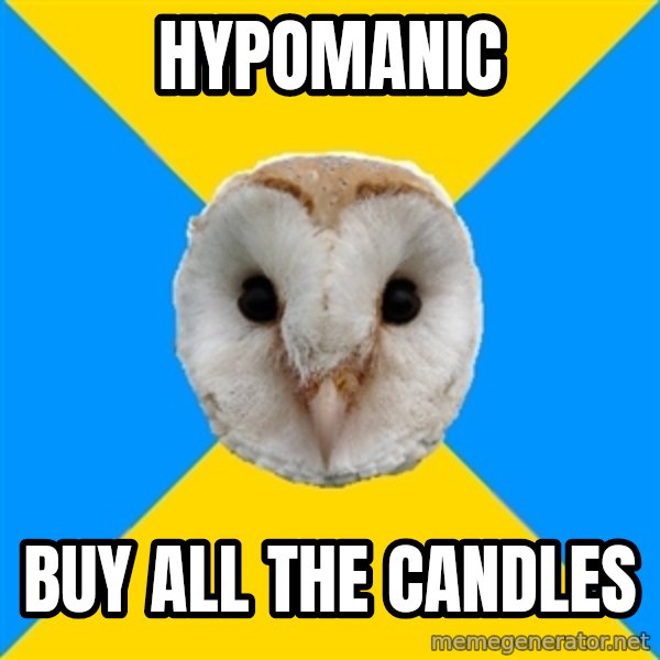 Bipolar Owl meme: HYPOMANIC / BUY ALL THE CANDLES