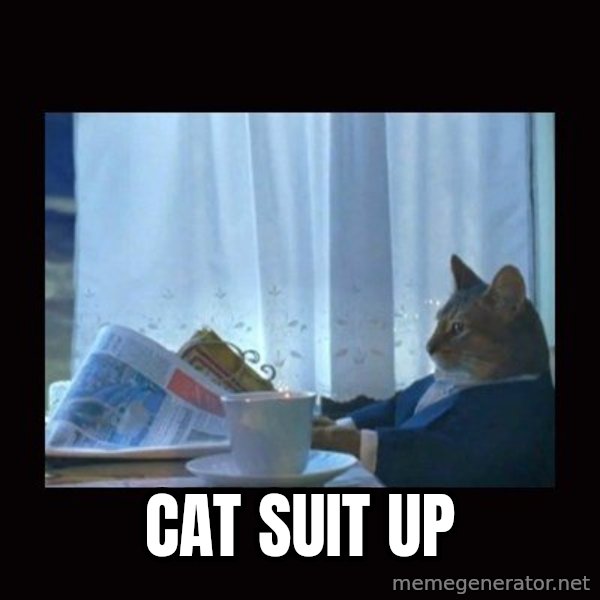 i should buy a boat cat meme: Cat Suit Up