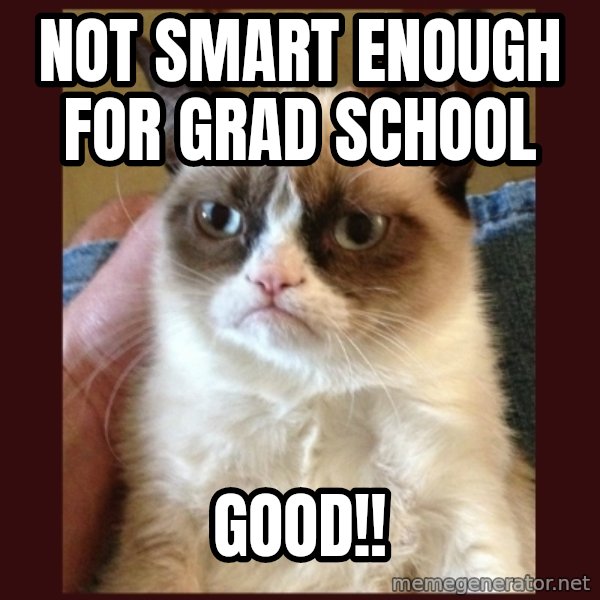 Grumpy Cat  meme: Not smart enough for grad school / good!!