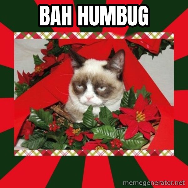 GRUMPY CAT ON CHRISTMAS meme: Bah Humbug