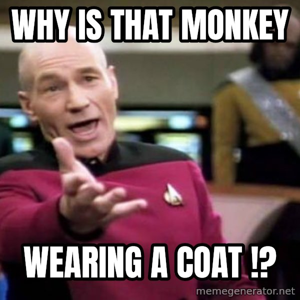 Picard Wtf meme: WHY IS THAT MONKEY / WEARING A COAT !?